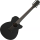 Ibanez AEG1221BOT Chitarra a 12 corde Black Out