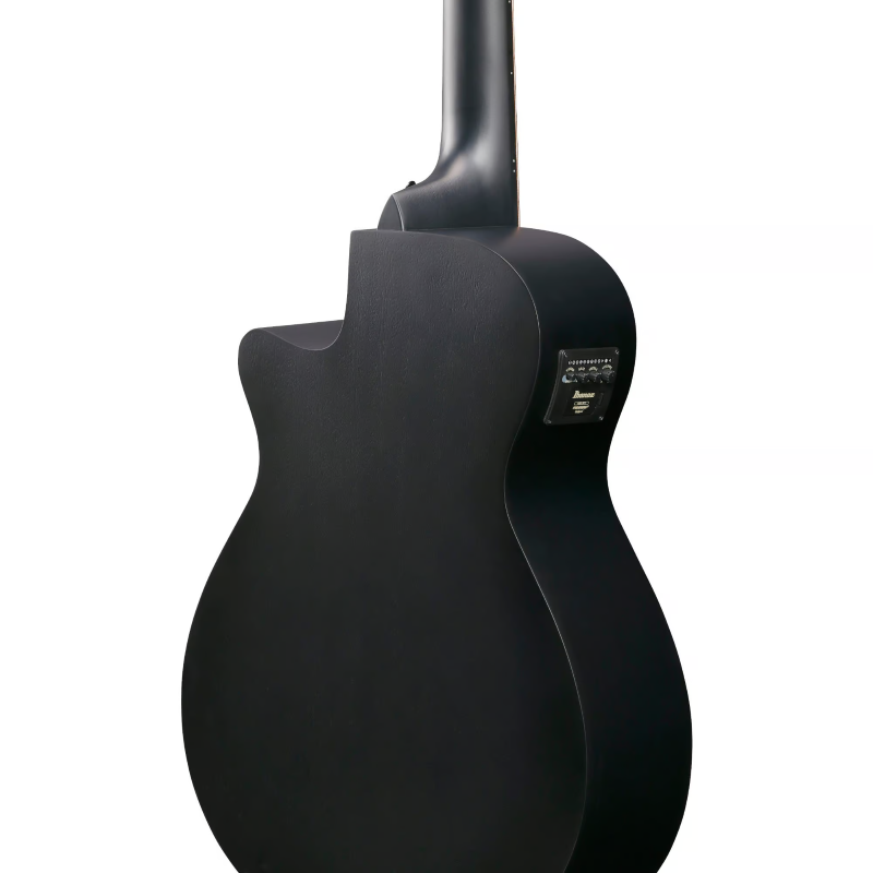 Ibanez AEG1221BOT Chitarra a 12 corde Black Out