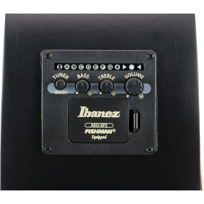 Ibanez AEG1221BOT Chitarra a 12 corde Black Out