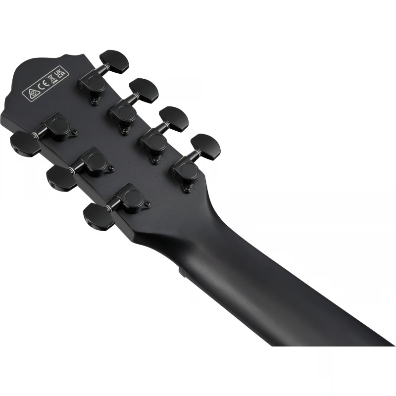 Ibanez AEG1221BOT Chitarra a 12 corde Black Out