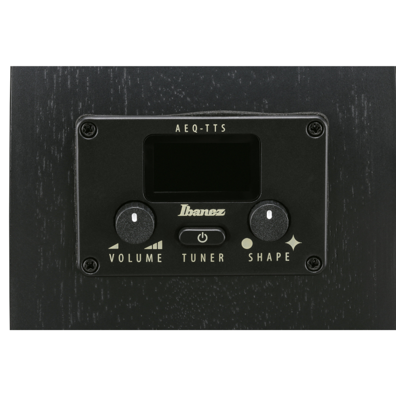 Ibanez AEG621BOT Chitarra Acustica Elettrificata Black Out