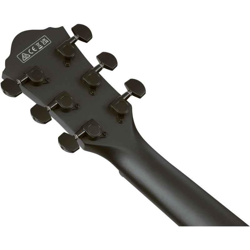 Ibanez AEG621BOT Chitarra Acustica Elettrificata Black Out