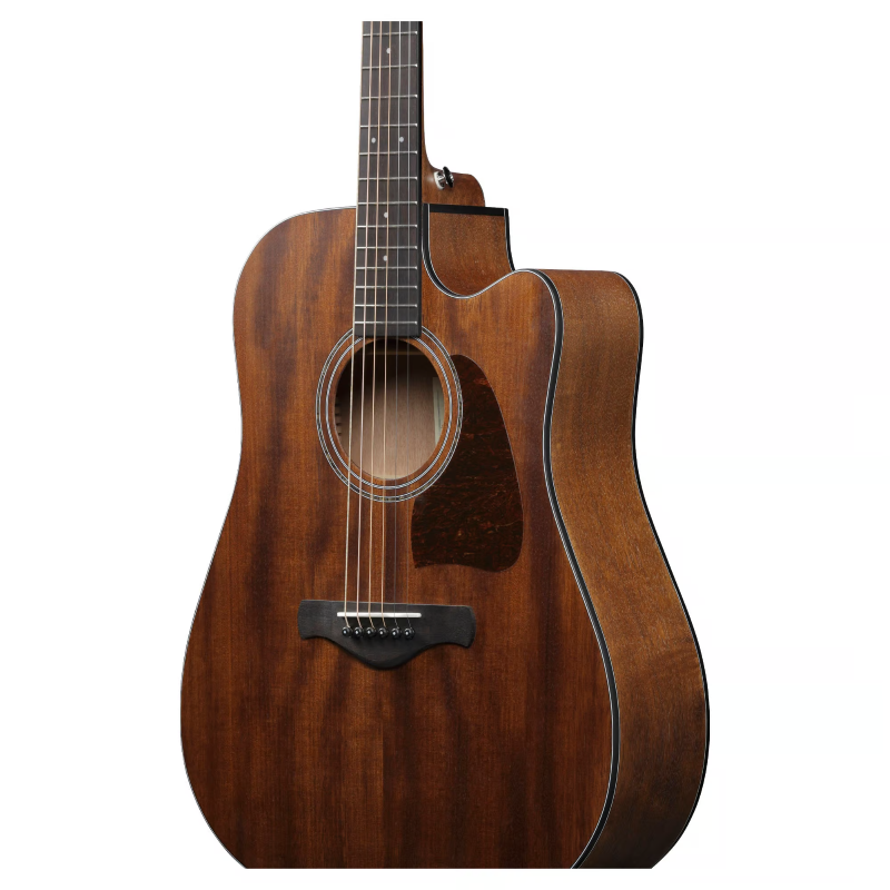 Ibanez AW1040CEOPN Open Pore Natural