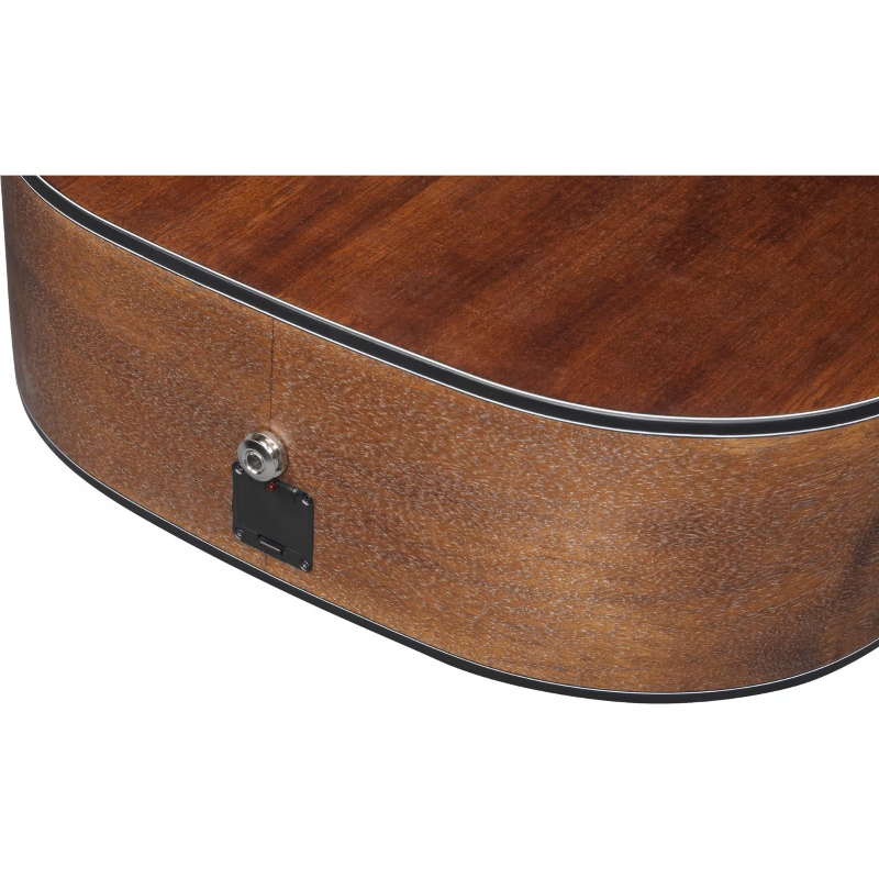 Ibanez AW1040CEOPN Open Pore Natural