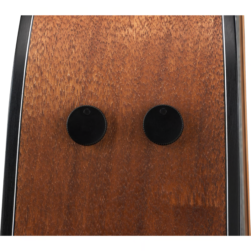 Ibanez AW1040CEOPN Open Pore Natural