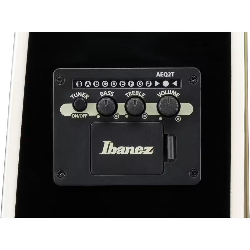 Ibanez ALT50FATVT El Ac Gtr