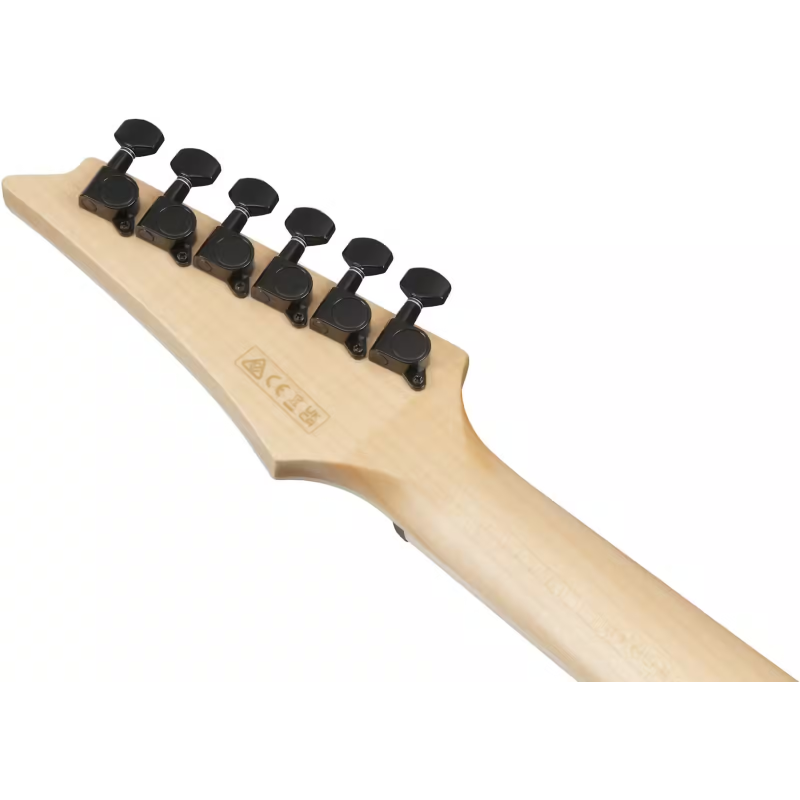 Ibanez ALT50FATVT El Ac Gtr