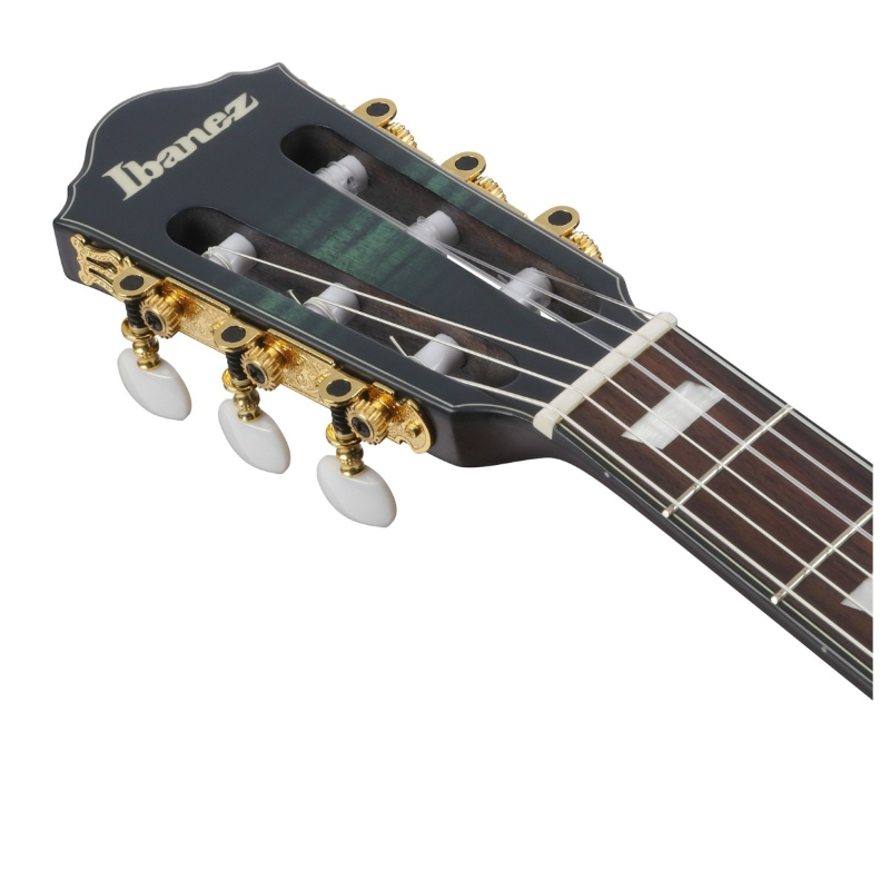 Ibanez FRH20FMNDGL Chitarra Acustica Deep Emerald Green Low Gloss