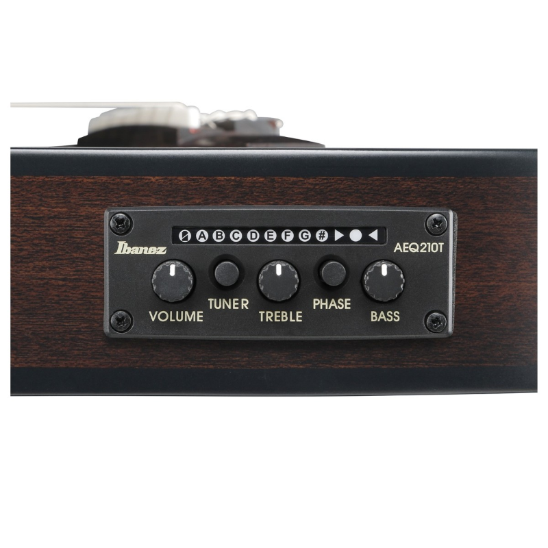 Ibanez FRH20FMNDGL Chitarra Acustica Deep Emerald Green Low Gloss