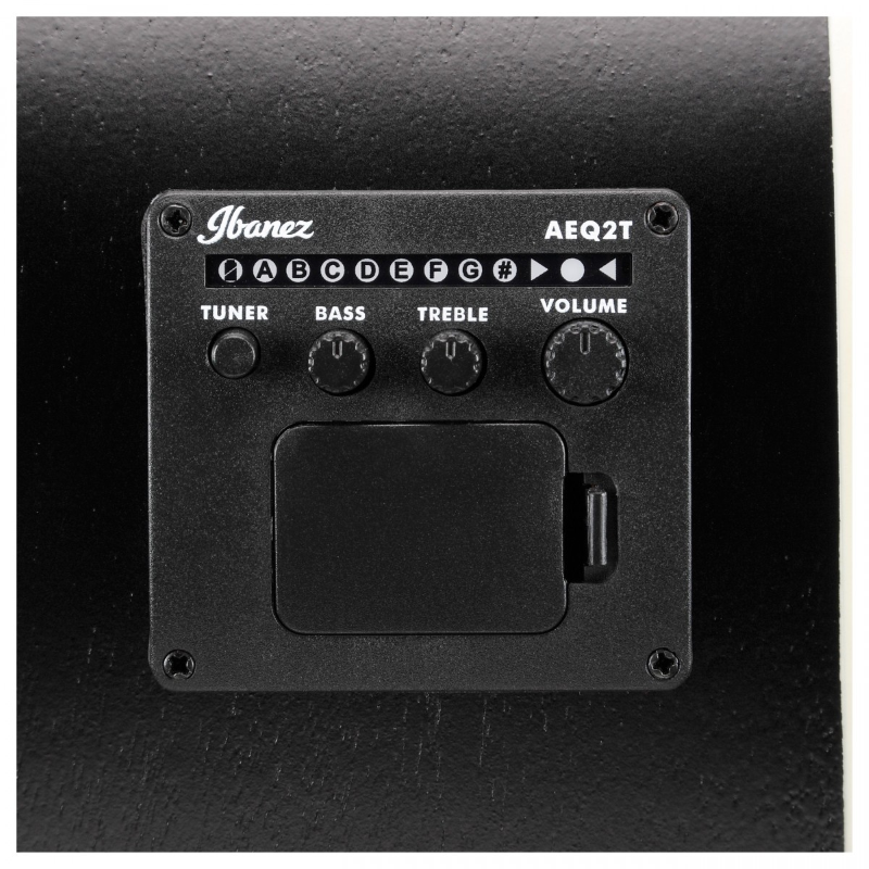 Ibanez PN12MHEOPN Chitarra Acustica Open Pore Natural