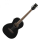 Ibanez PN14MHEWK Parlour Electro Acoustic Weathered Black