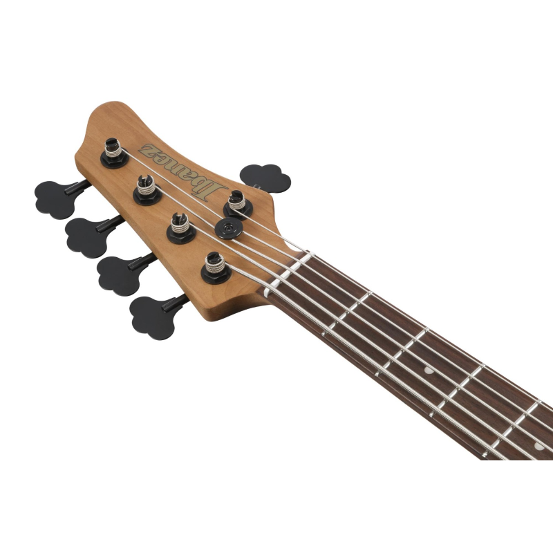 Ibanez MDM1605DTW Basso a 5 Corde Deep Twilight