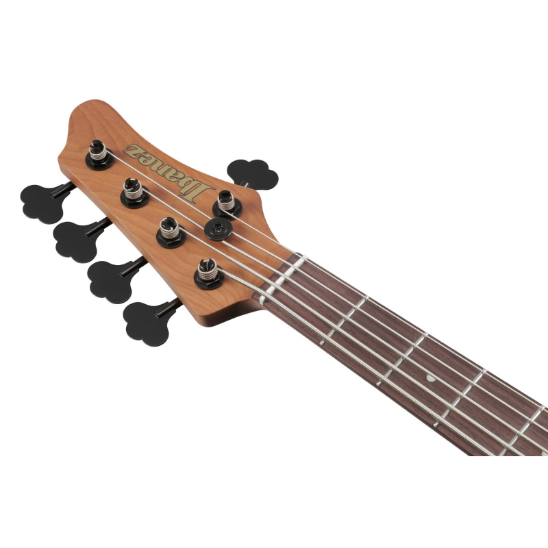 Ibanez MDM1605NML Basso a 5 Corde Natural Mocha Low Gloss