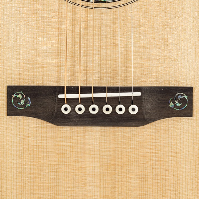 Larrivee 10 Orchestra Elettrificata OM10