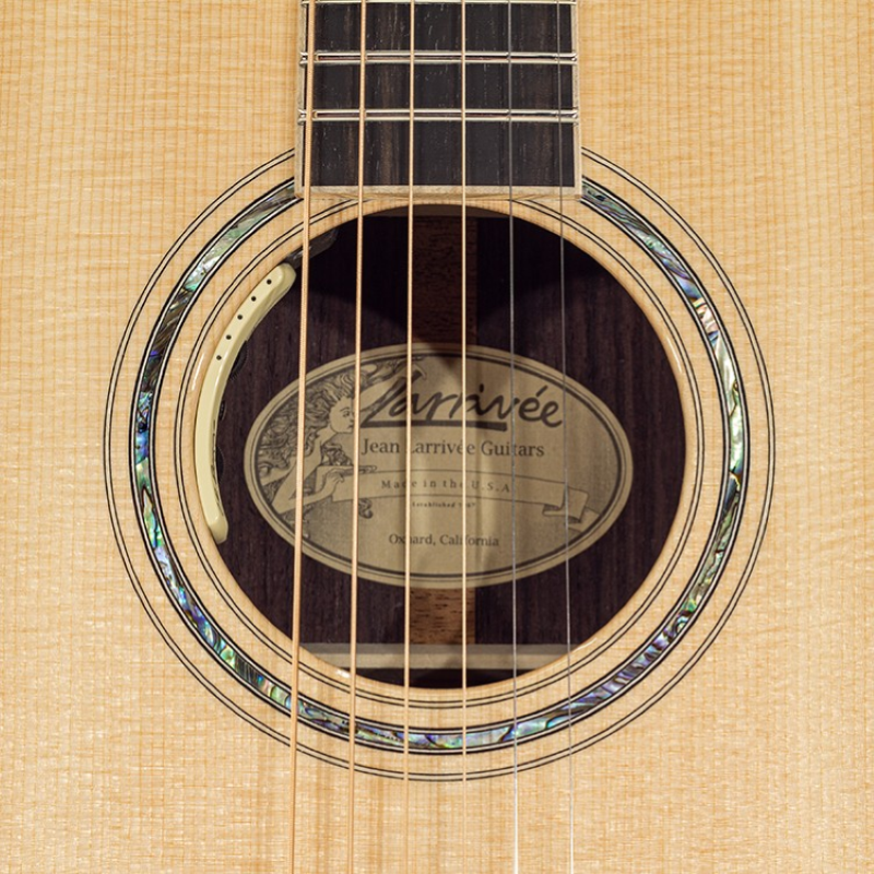 Larrivee 10 Orchestra Elettrificata OM10