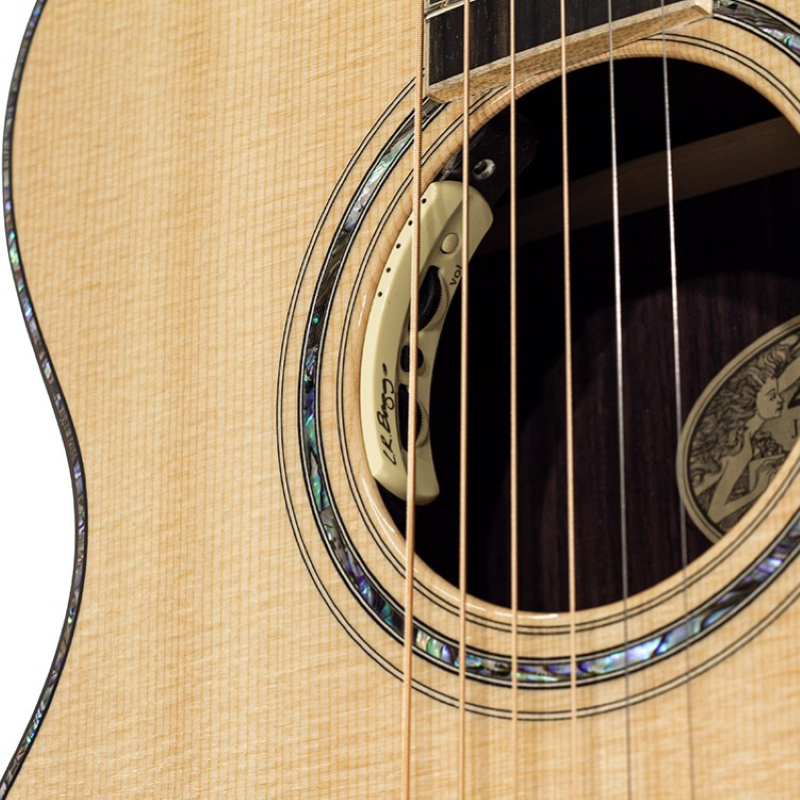 Larrivee 10 Orchestra Elettrificata OM10