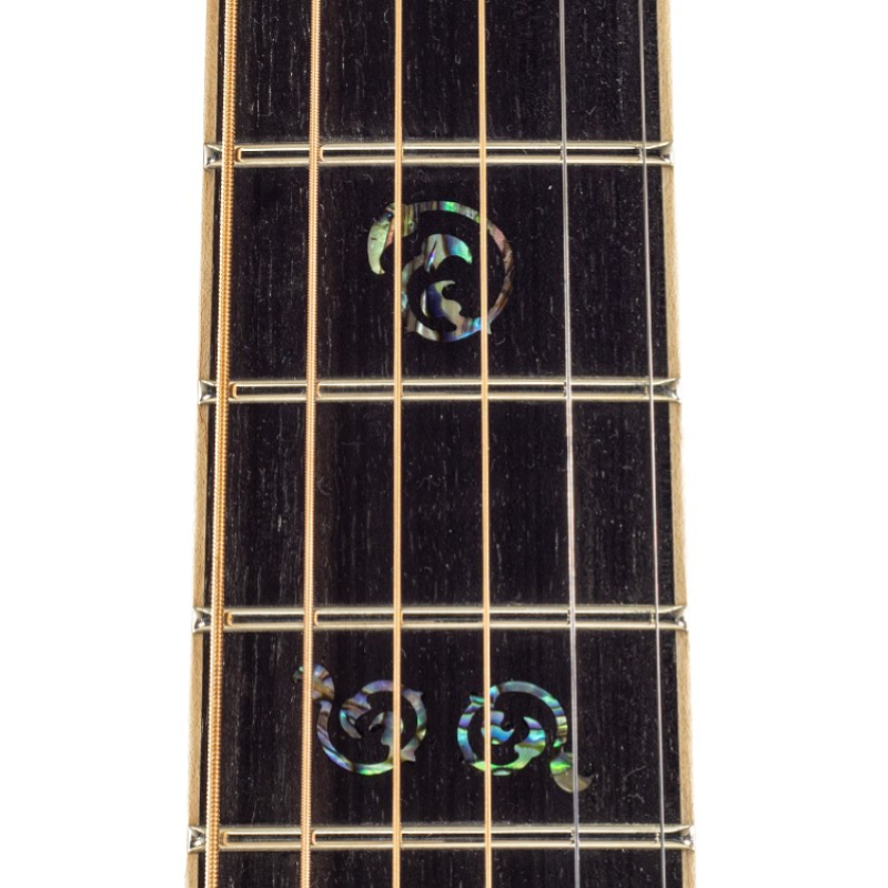 Larrivee 10 Orchestra Elettrificata OM10