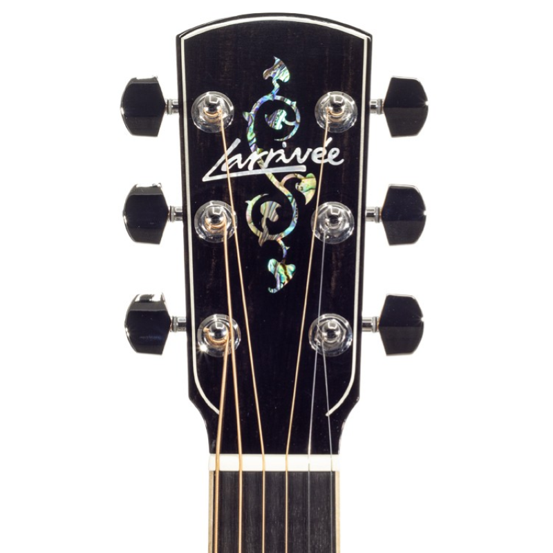 Larrivee 10 Orchestra Elettrificata OM10