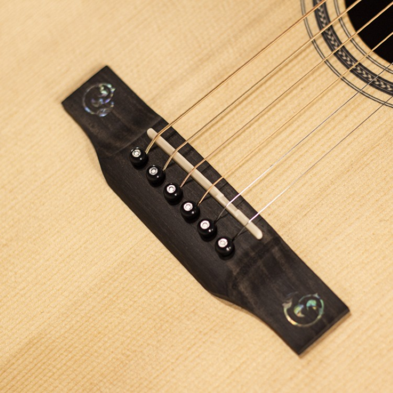 Larrivee 03 Deluxe SE Orchestra Elettrificata OM03