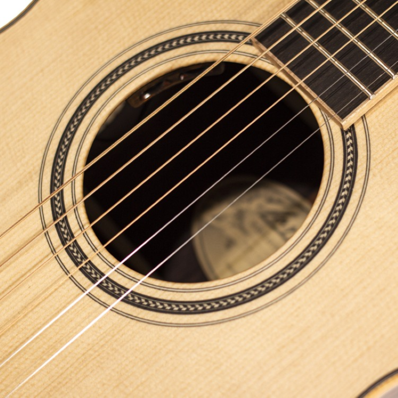 Larrivee 03 Deluxe SE Orchestra Elettrificata OM03