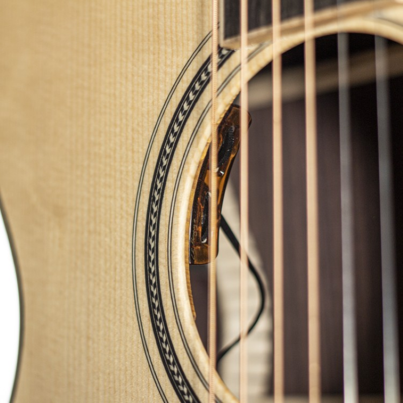 Larrivee 03 Deluxe SE Orchestra Elettrificata OM03