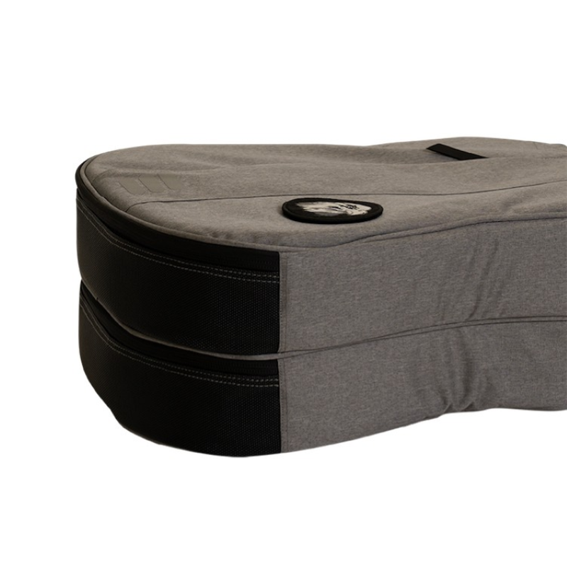 Ritter Borsa Carouge Chitarra Elettrica Doppia Borsa imbottita per chitarra elettrica double