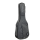 Ritter Borsa Carouge Chitarra Dreadnought Borsa imbottita per chitarra dreadnought RGC3-D/EGR
