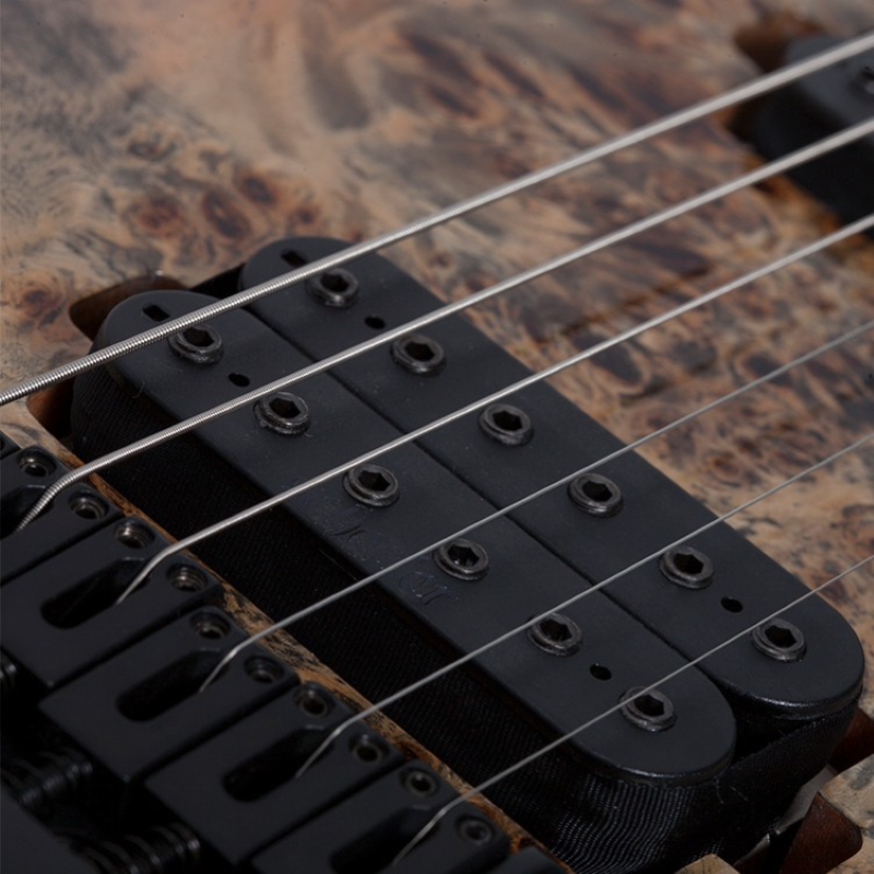 Schecter C-6 PRO-ARB C