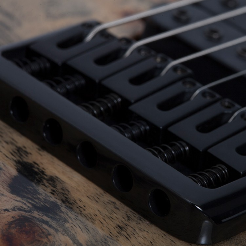 Schecter C-6 PRO-ARB C