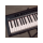 Oqan QK88P Pianoforte Digitale 88 Tasti Semipesati