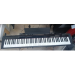 usato Casio PX-S1100