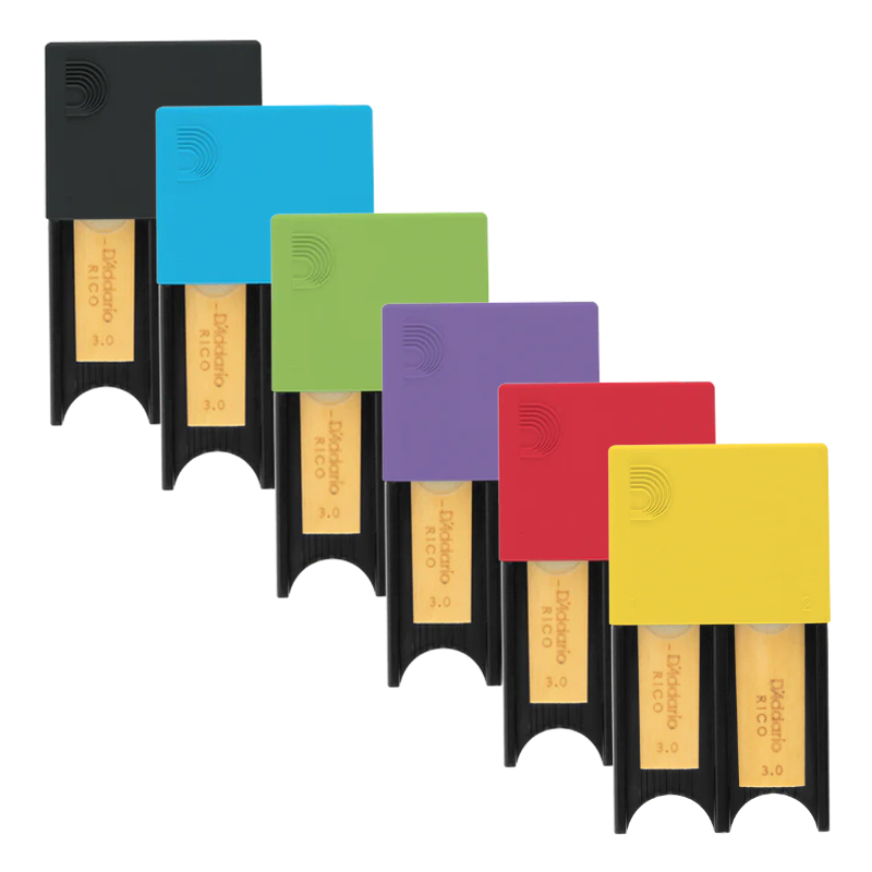 DADDARIO PORTAANCE COLORI