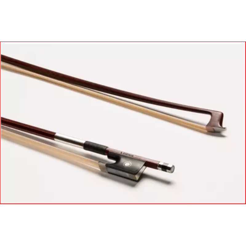 EASTMAN VL250SBC Violino Andreas Eastman 4/4, Completo con astuccio,arco corde Dominant