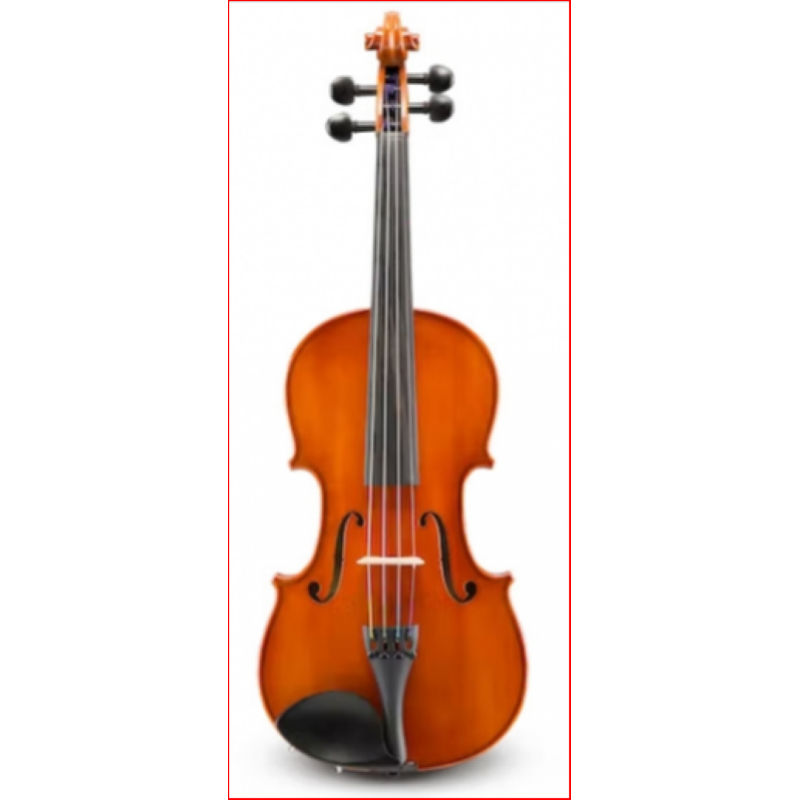 EASTMAN VL50 SBC Violino Samuel Eastman 4/4, Completo di arco e astuccio