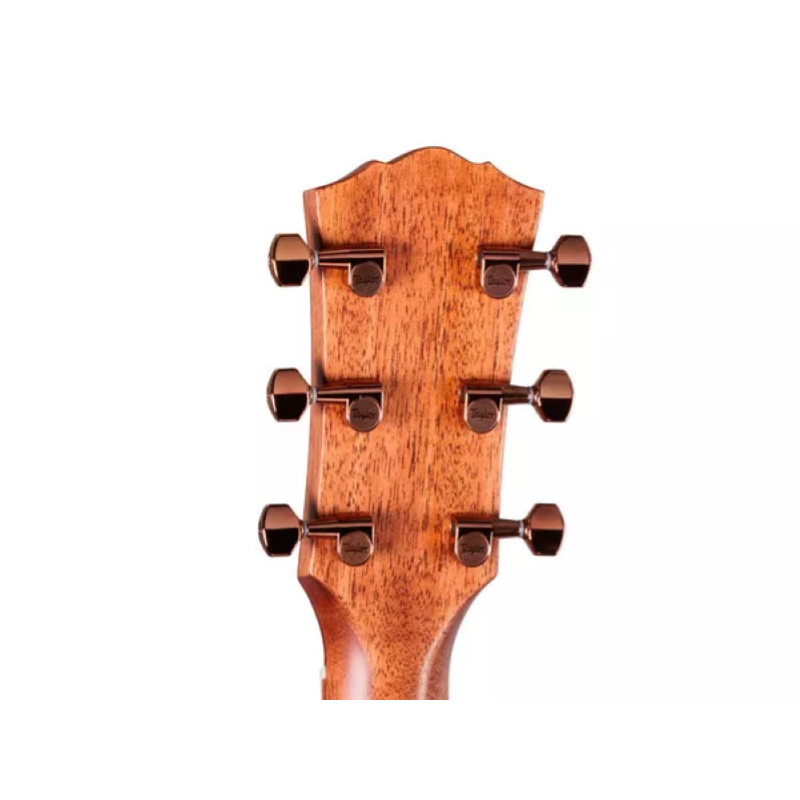 Taylor Ben Harper Gold Label 512e, Maho/Spruce,SB Top