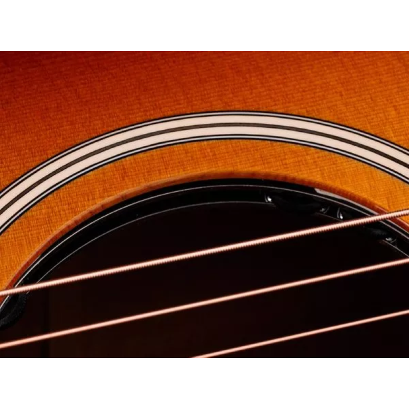 Taylor Ben Harper Gold Label 512e, Maho/Spruce,SB Top