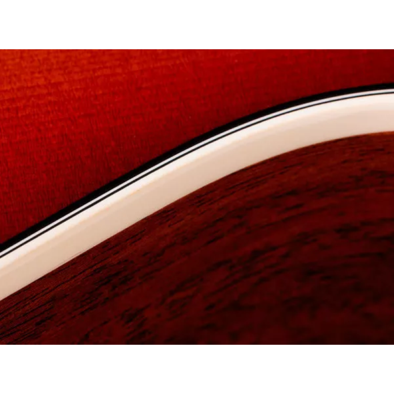 Taylor Ben Harper Gold Label 512e, Maho/Spruce,SB Top