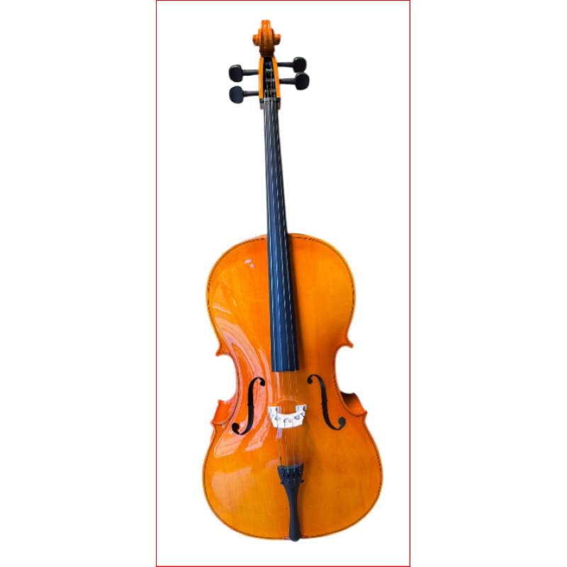 Luthier Violoncello 4/4 Student 1 Academy Laminato Settato