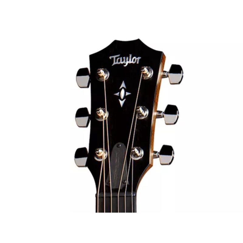 Taylor Builder's Edition 717e,Nat Top,V-Class(R)Bracing