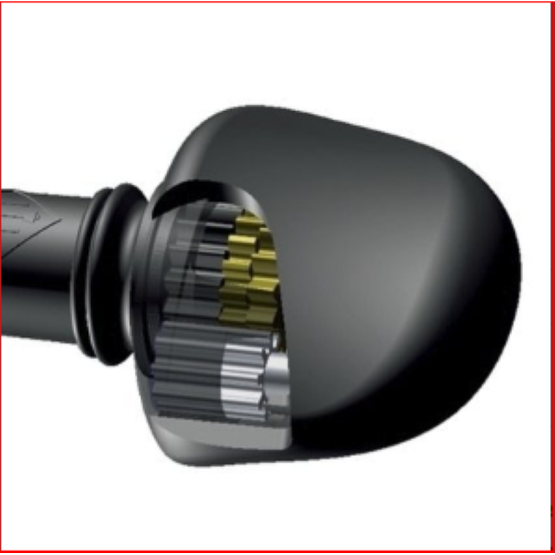 BRUCK P4010SEW FENG VIOLINO 4/4 Piroli Hi-Tech Astuccio Lusso