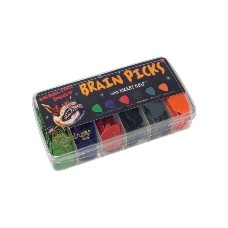 DAndrea Box plettri Snarling Dogs Brain 432pcs Box 432 plettri assortiti Snarling Dogs Brain