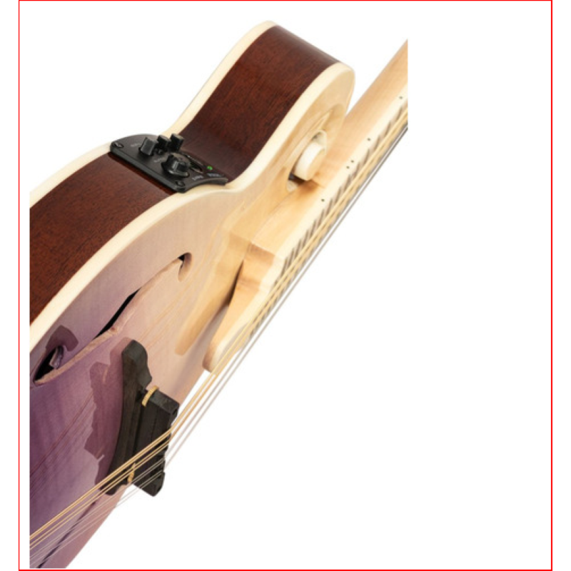 Mandolino ORTEGA RMFE200PF  stile F della serie Americana ORTEGA,  con astuccio in pelle di coccodrillo. 