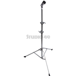 Studio 49 B/St Supporto piatto BSt