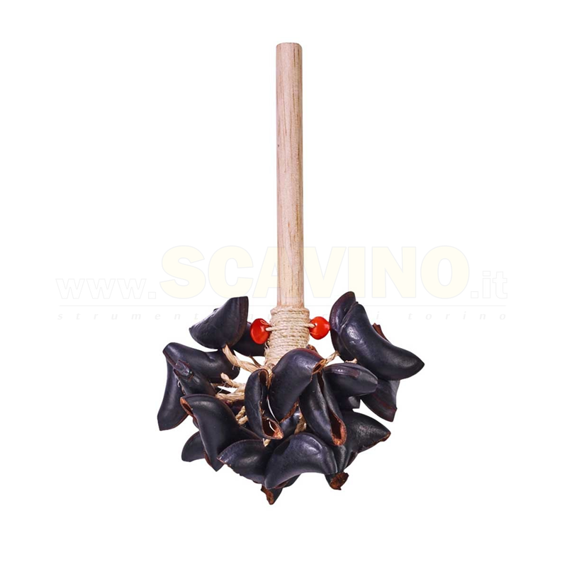 AFROTON ACC1891  SONAGLIO DI NOCI