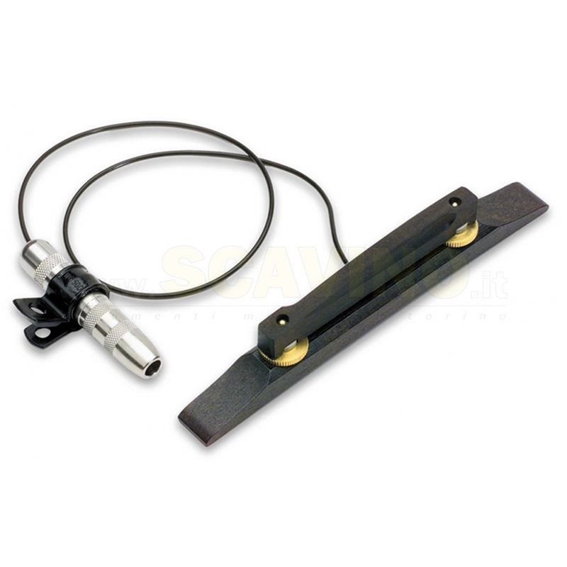 Fishman Archtop Pickup Chitarra