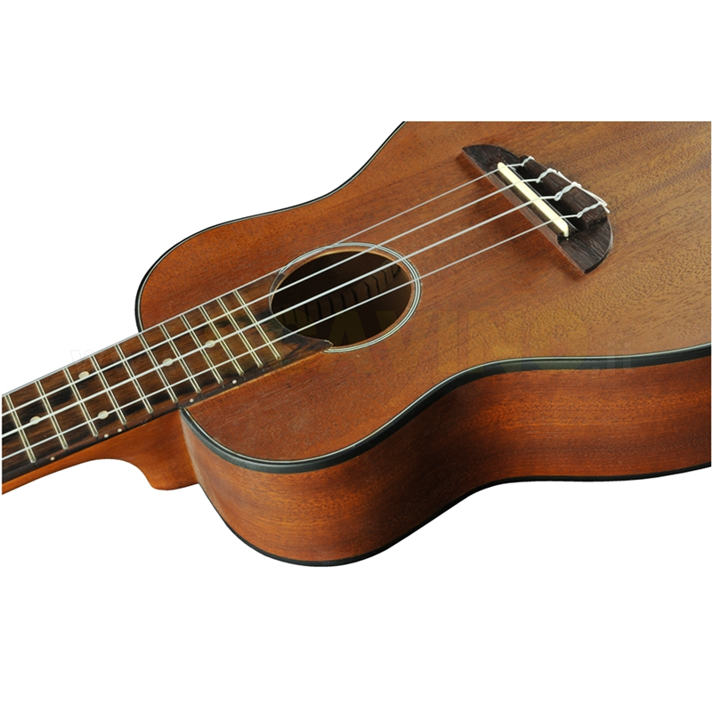 Eko Uku Duo Ukulele Concerto