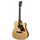 Richwood D-20-CE Chitarra acustica dreadnought elettrificata