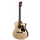 Richwood A-60-CE Chitarra acustica auditorium elettrificata
