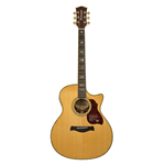 Richwood G70CEVA Chitarra acustica grand auditorium elettrificata