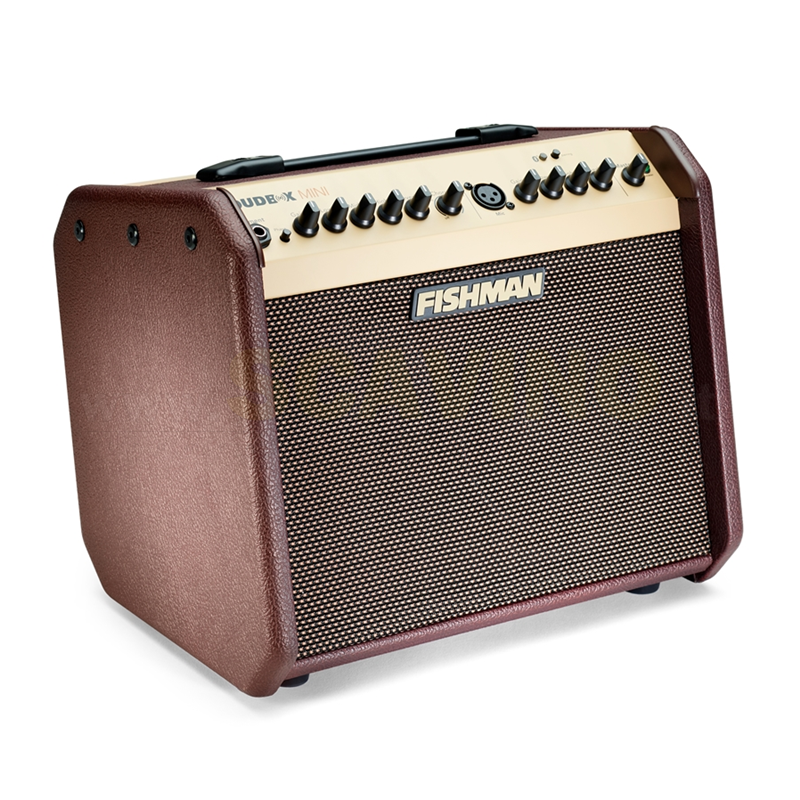 Fishman Loudbox Mini Bluetooth 60W